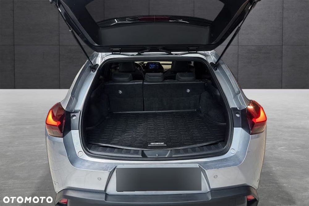 Lexus UX 250h (E-FOUR) Luxury Line - 19
