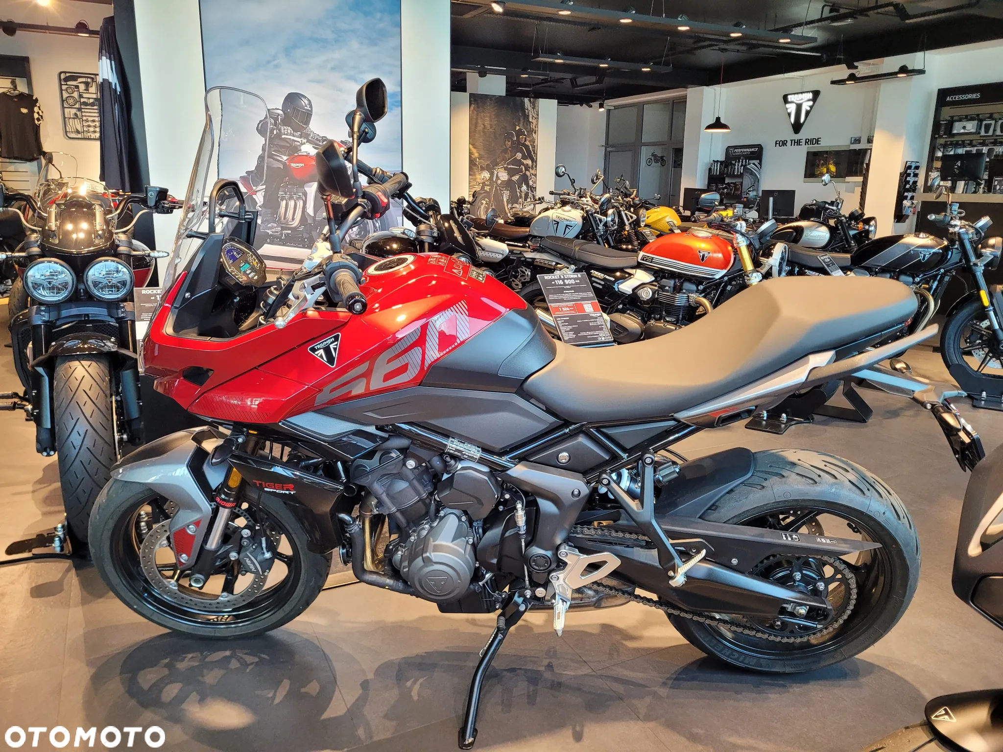 Triumph Tiger