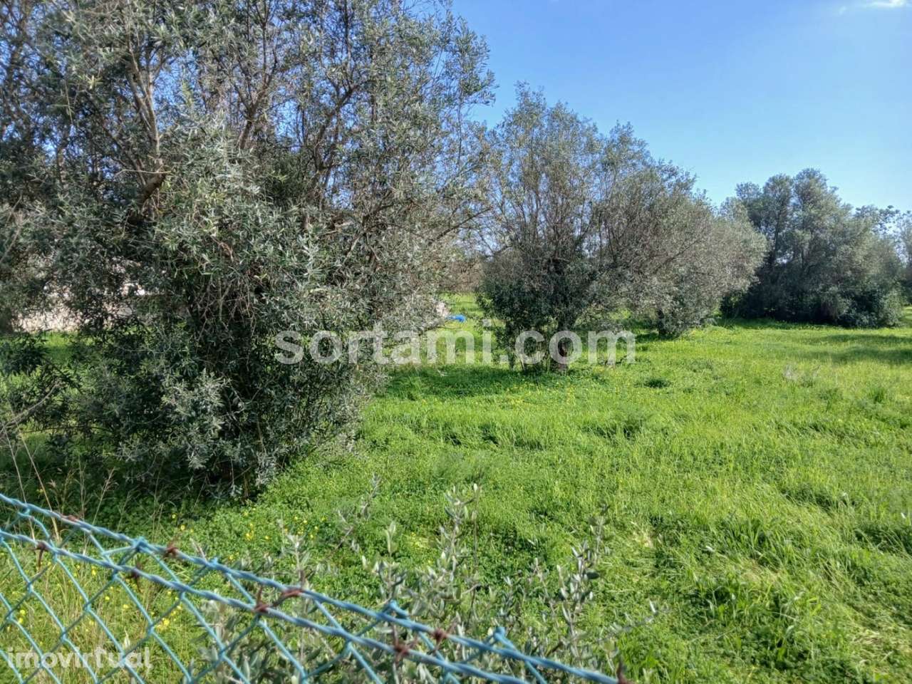 Terreno Rústico  Venda em Ferreiras,Albufeira - Grande imagem: 2/15