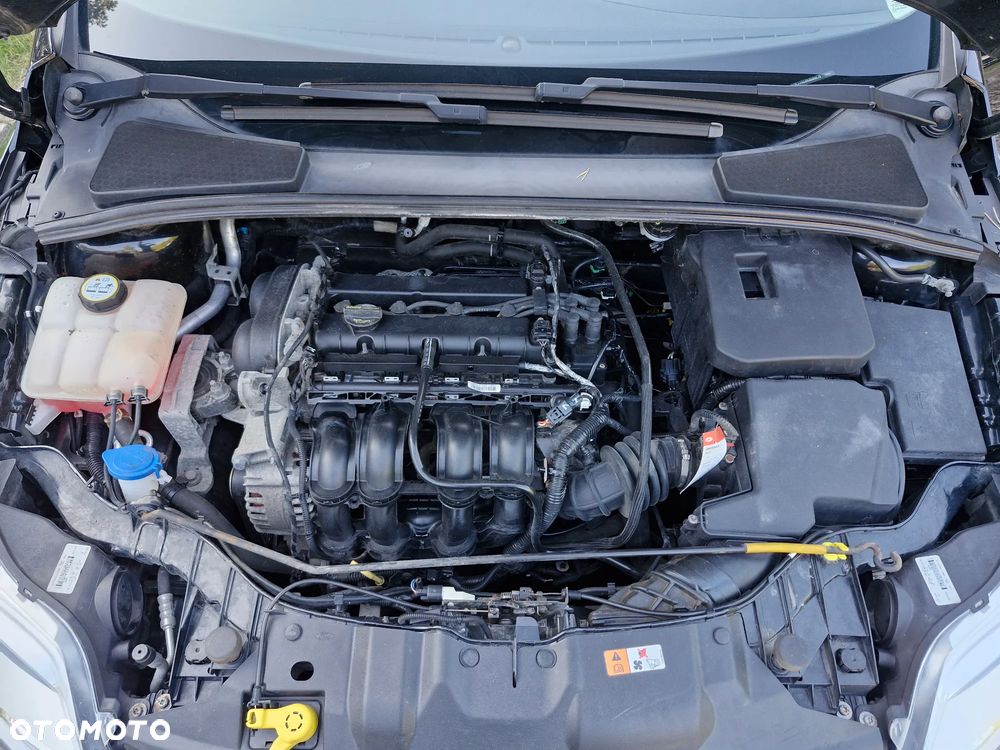 Ford Focus 1.6 TI-VCT Trend - 25