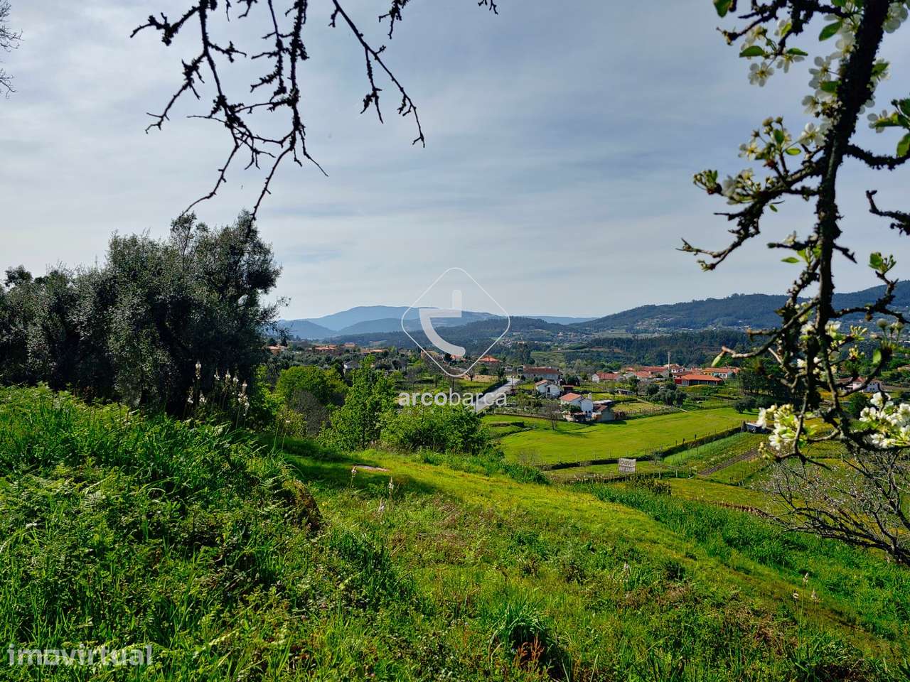 Terreno agrícola com 10.000mt2 com vista - Gemieira - Ponte de Lima - Grande imagem: 4/10