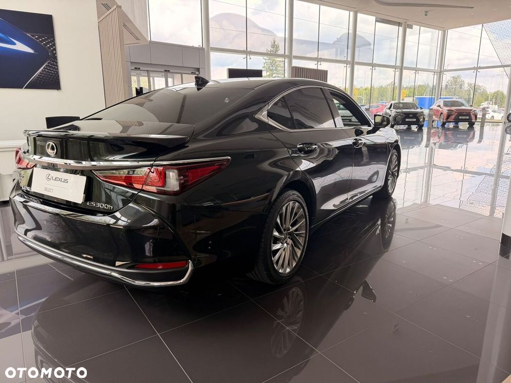 Lexus ES 300h Omotenashi - 5