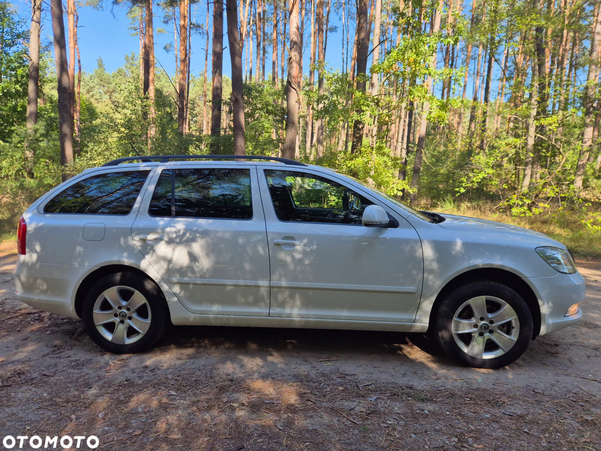 Skoda Octavia 2.0 TDI DPF 4x4 Ambiente - 28