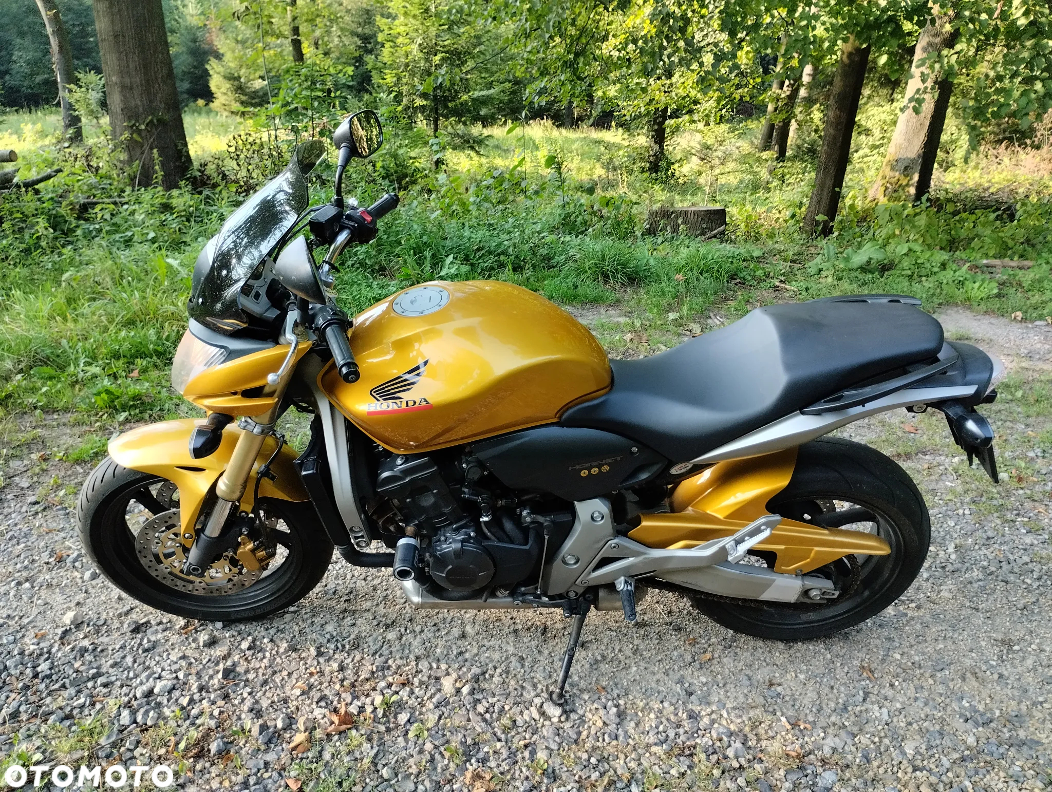 Honda Hornet - 12