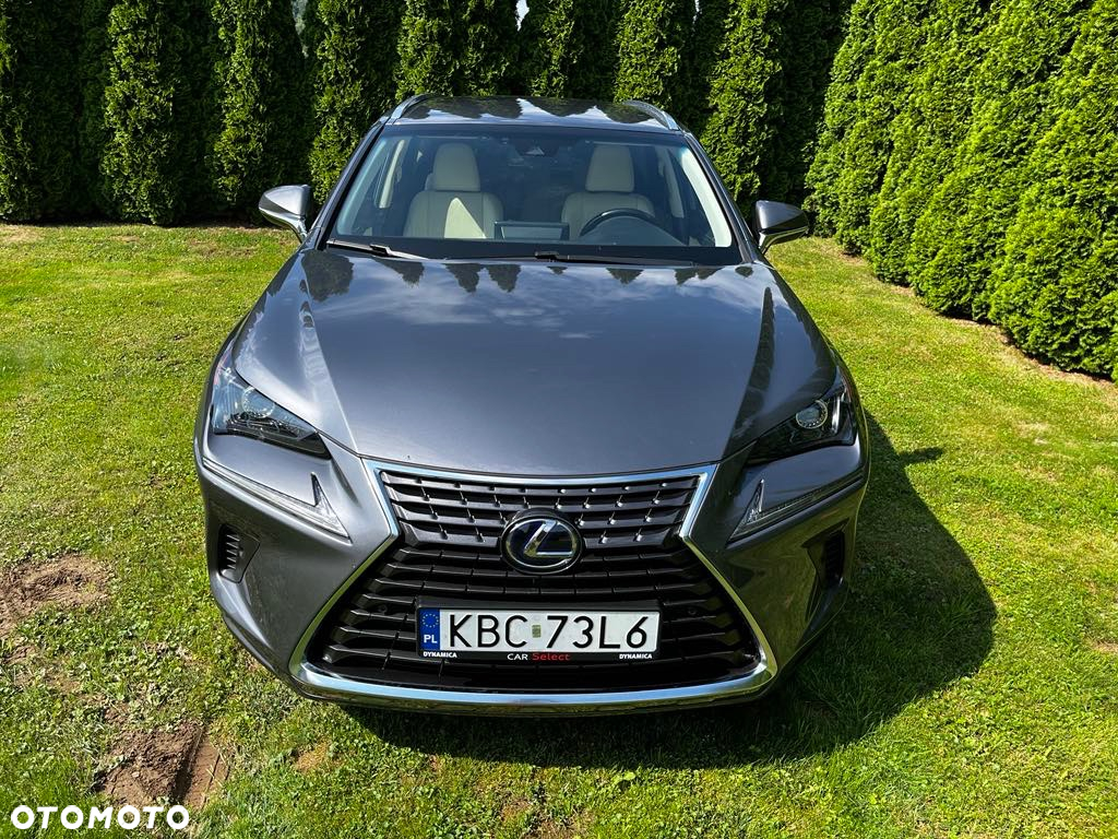 Lexus NX 300 Elegance AWD - 6