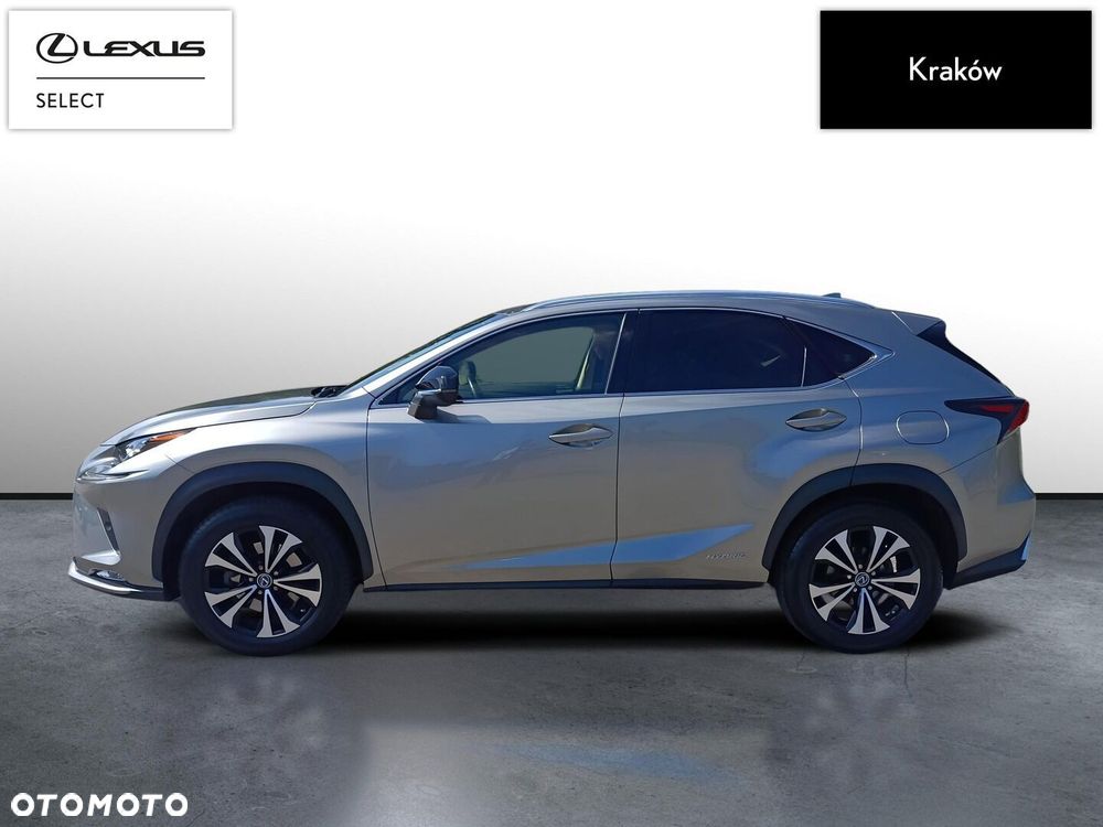 Lexus NX 300h F Impression AWD - 2