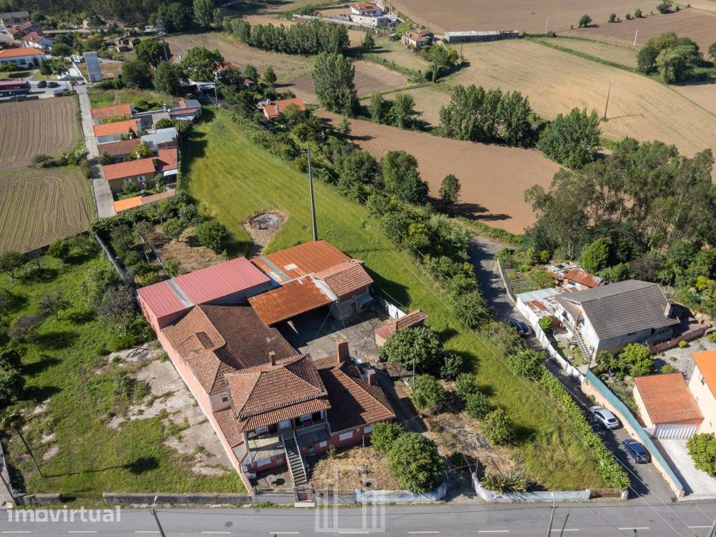 Quinta Centenária - Válega - Grande imagem: 5/55