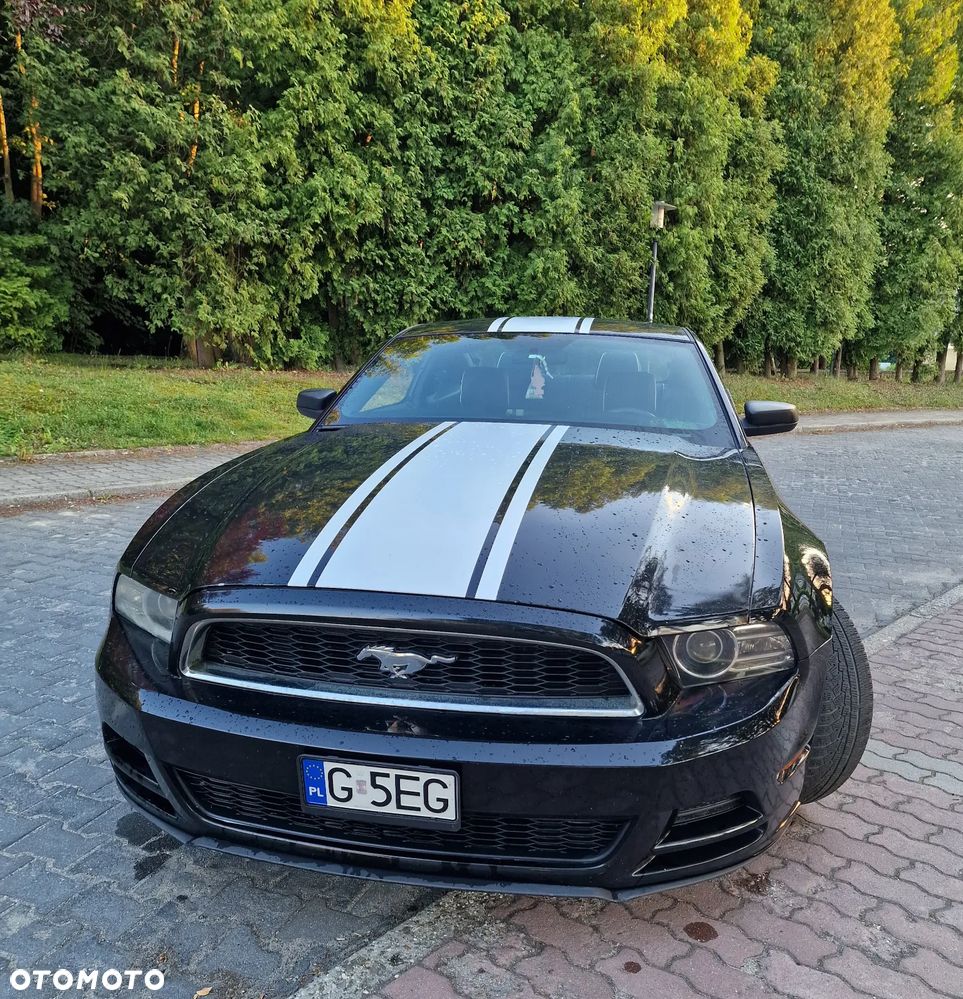 Ford Mustang 3.7 V6 - 5