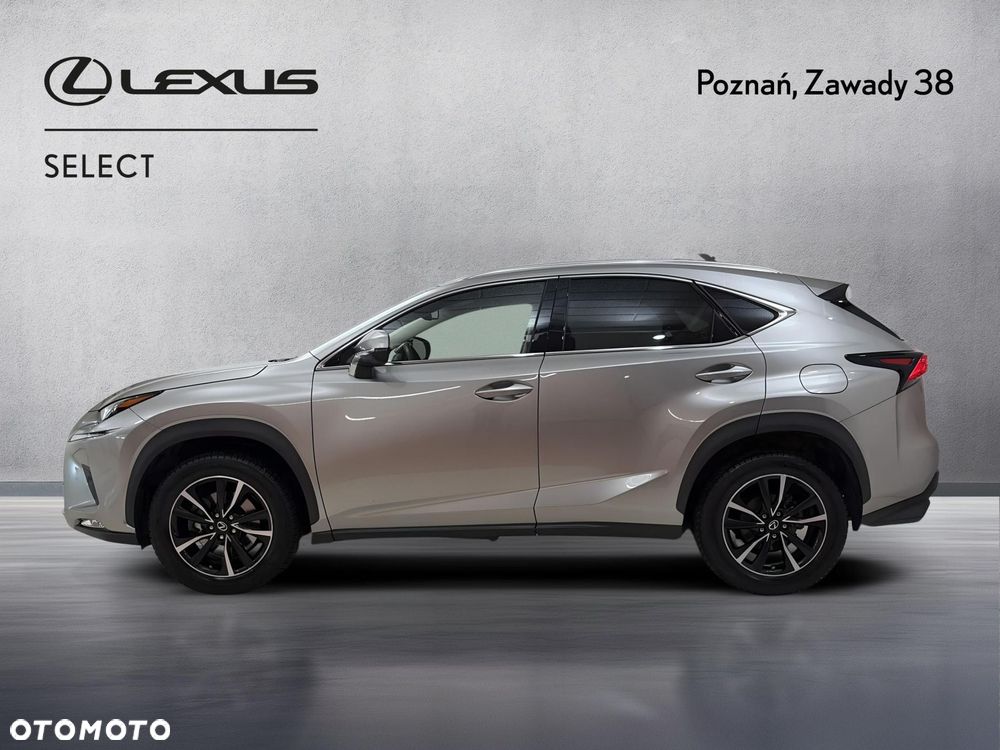 Lexus NX 300 Prestige AWD - 7
