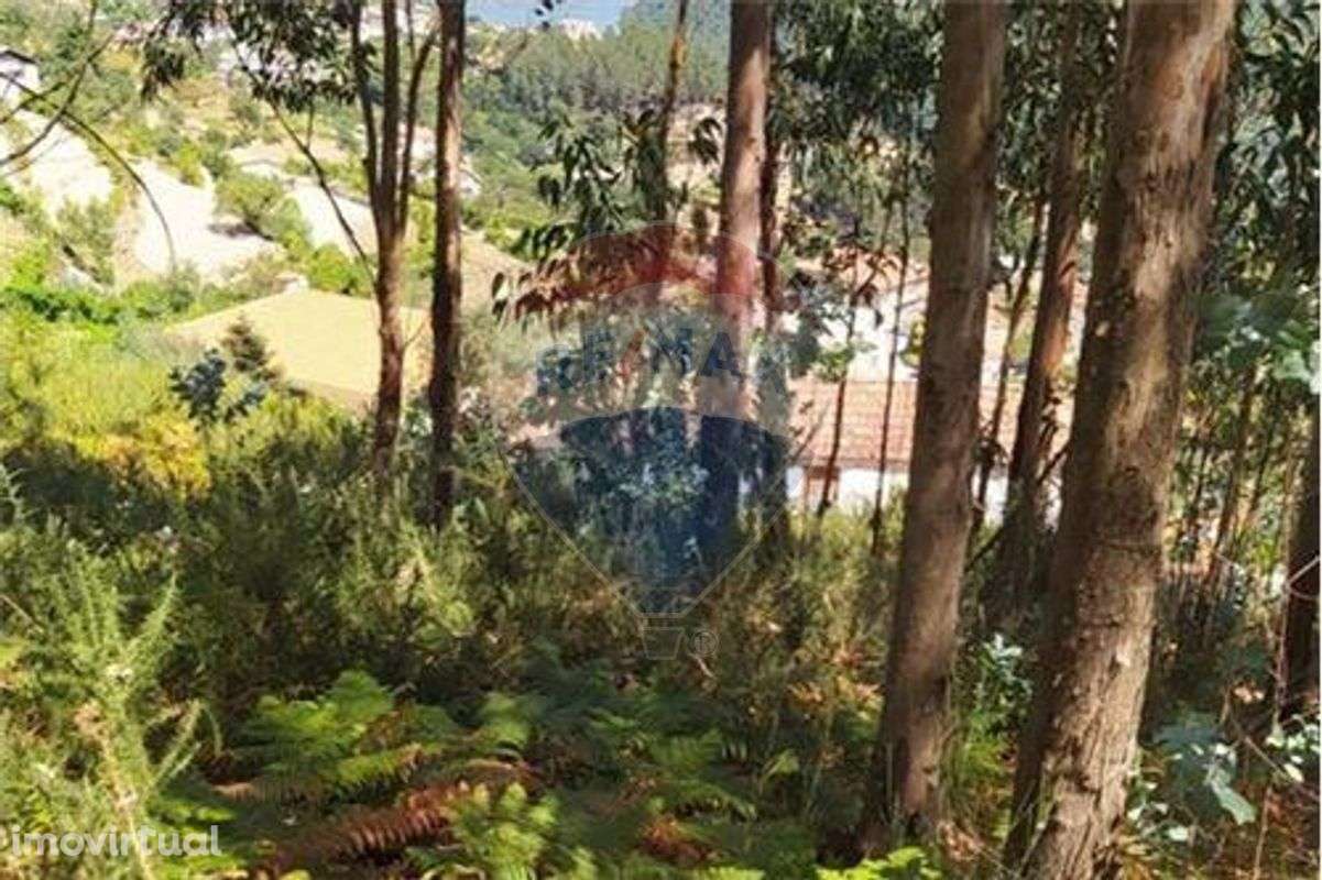 Terreno T0 para venda - Grande imagem: 4/6