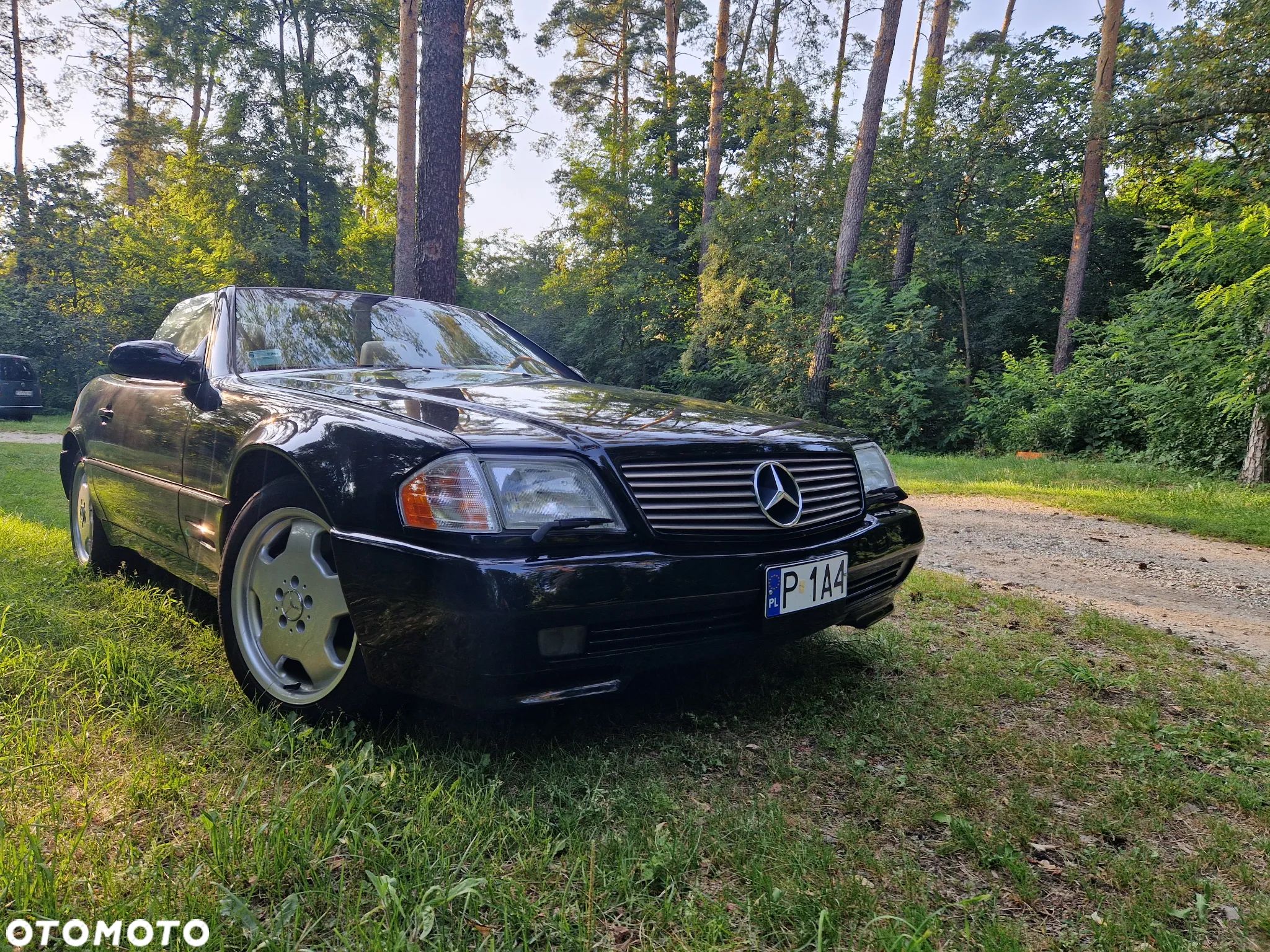 Mercedes-Benz SL 500 7G-TRONIC - 1