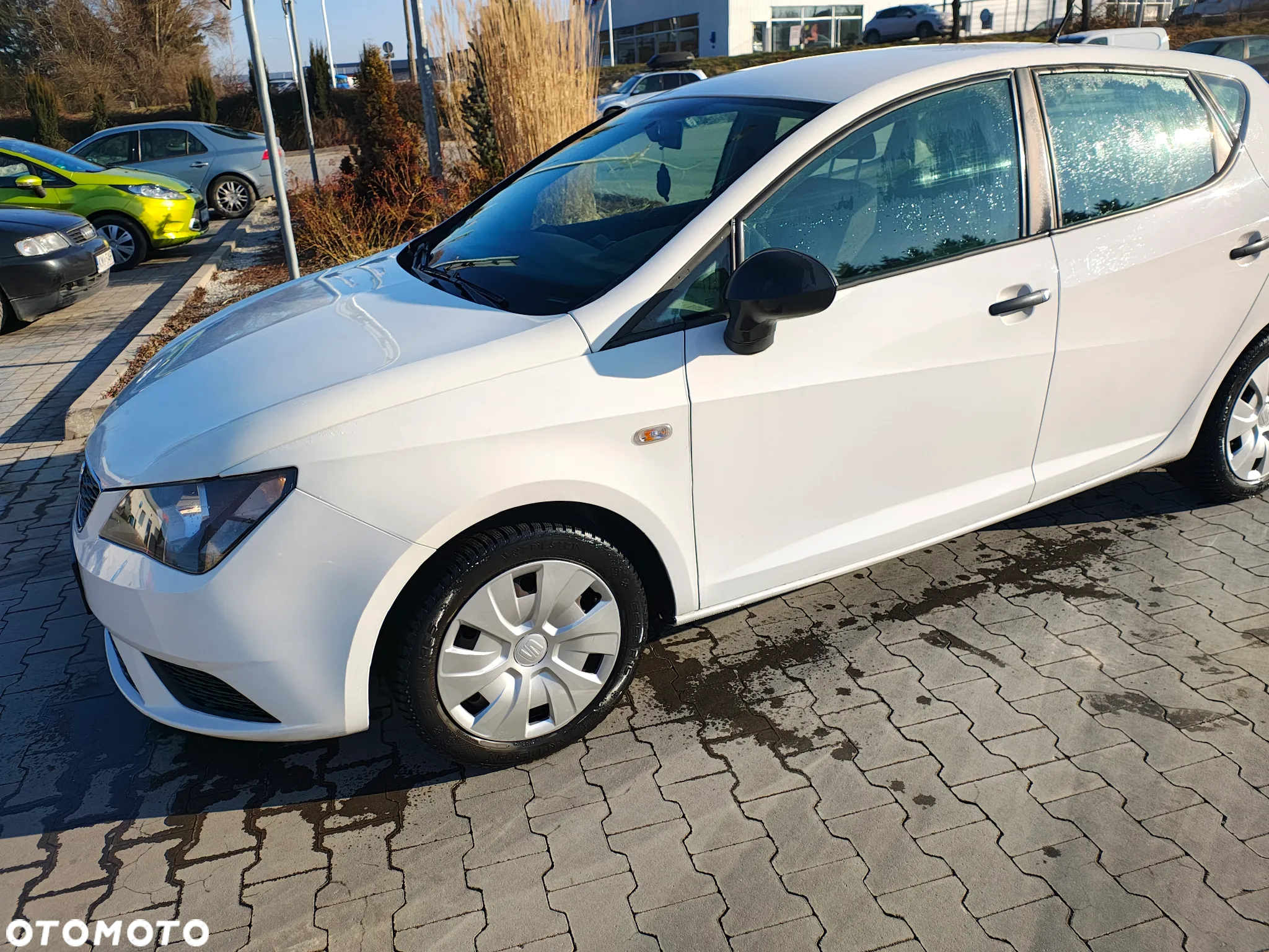 Seat Ibiza - 2