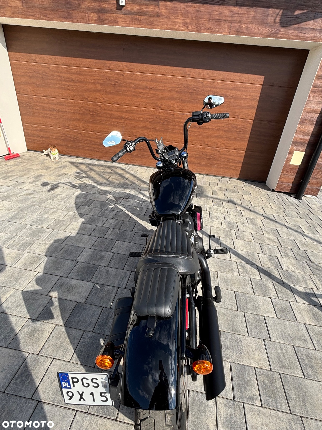 Harley-Davidson Softail Street Bob - 2