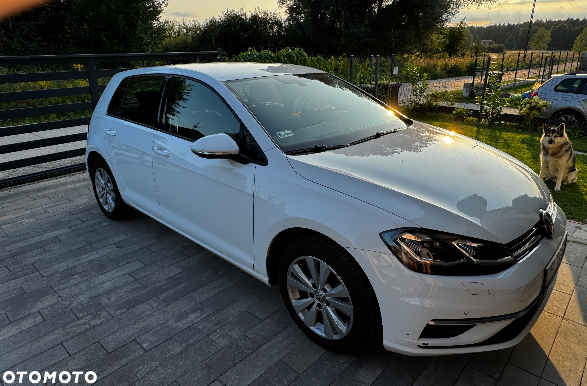Volkswagen Golf VII 1.6 TDI BMT Comfortline - 7