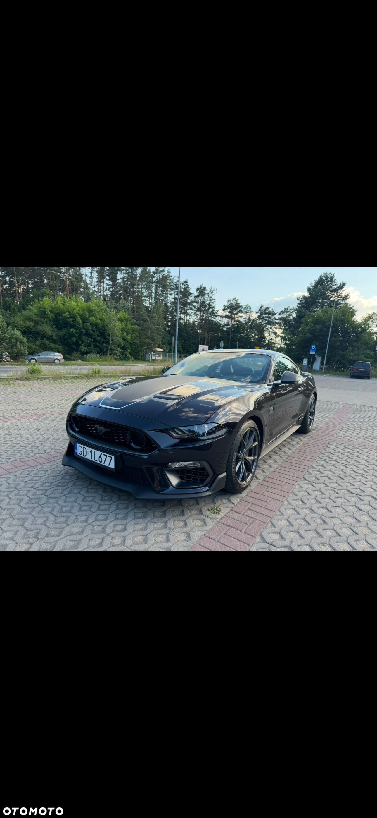 Ford Mustang 5.0 V8 Mach 1 - 1