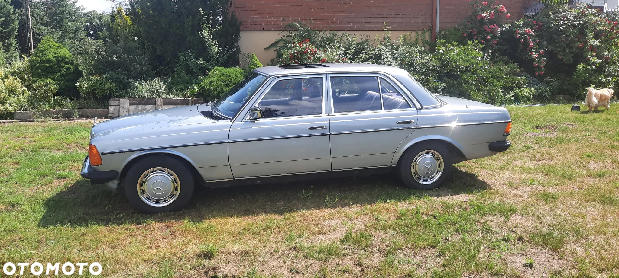 Mercedes-Benz W123 - 3