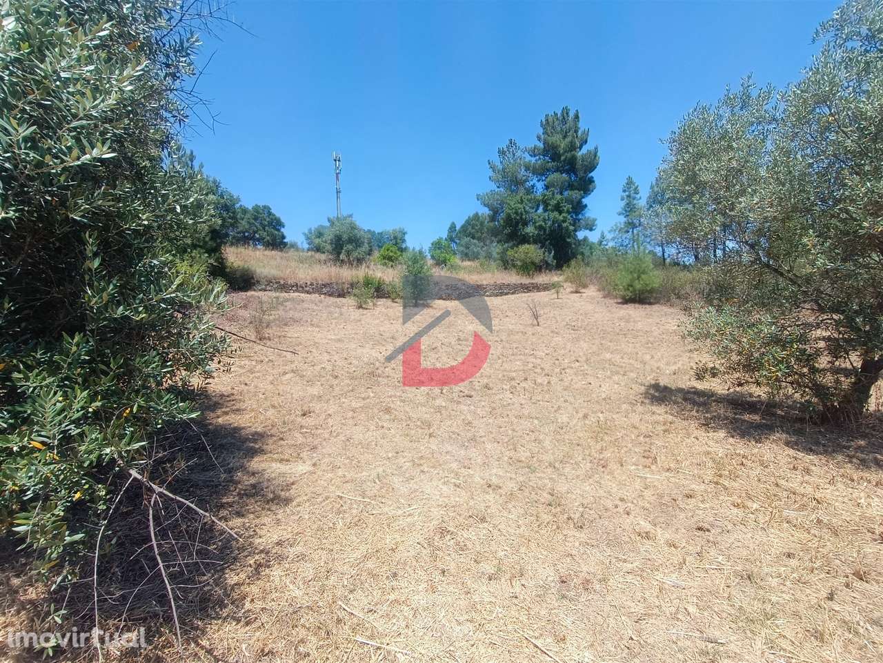 Terreno Rústico - Grande imagem: 5/14