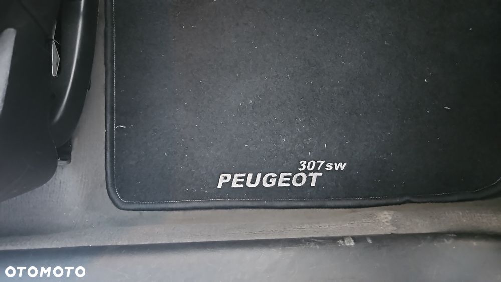 Peugeot 307 - 26