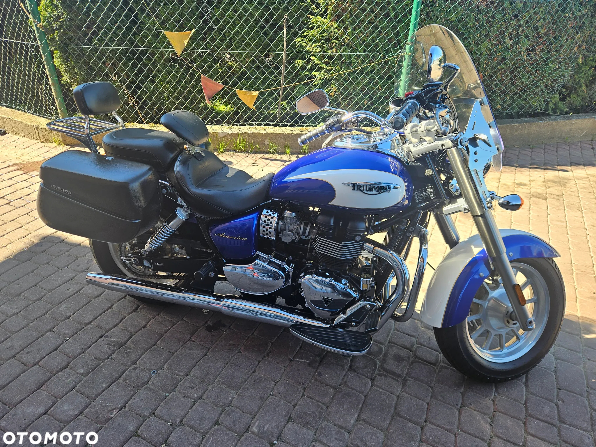 Triumph Speedmaster - 2