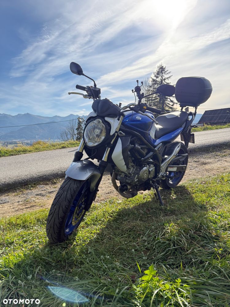 Suzuki Gladius