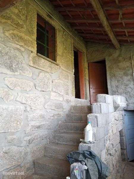 Quinta de 10 Hectares de Olival - Grande imagem: 3/8