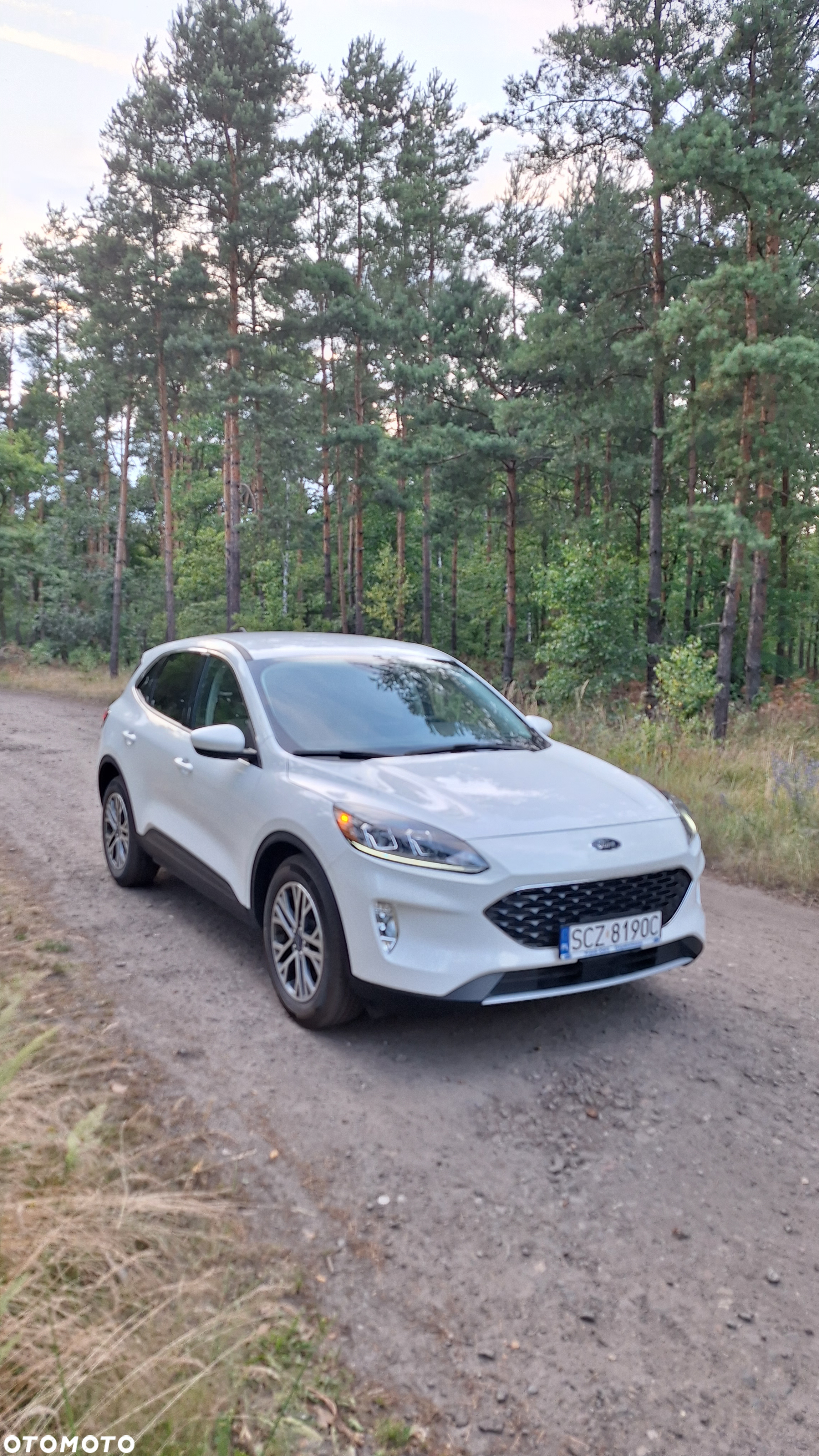 Ford Escape 1.5 EcoBoost AWD SE - 7