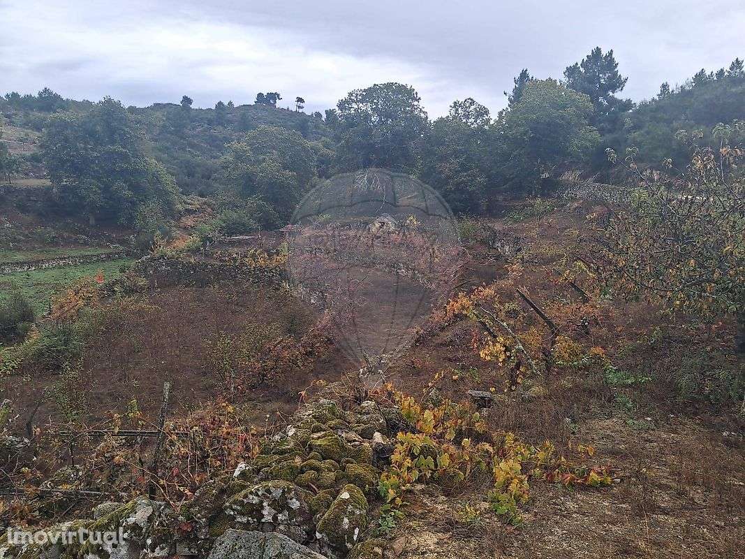 Terreno  para venda - Grande imagem: 2/8