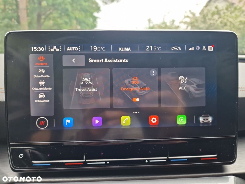 Cupra Formentor 2.0 TSI 4Drive DSG - 37