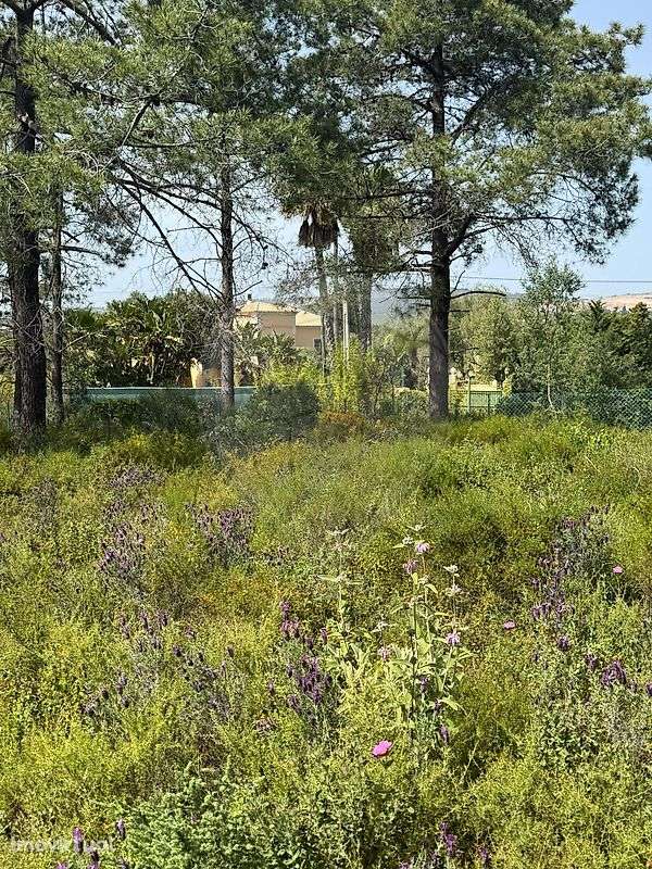 Terreno  para venda - Grande imagem: 5/5