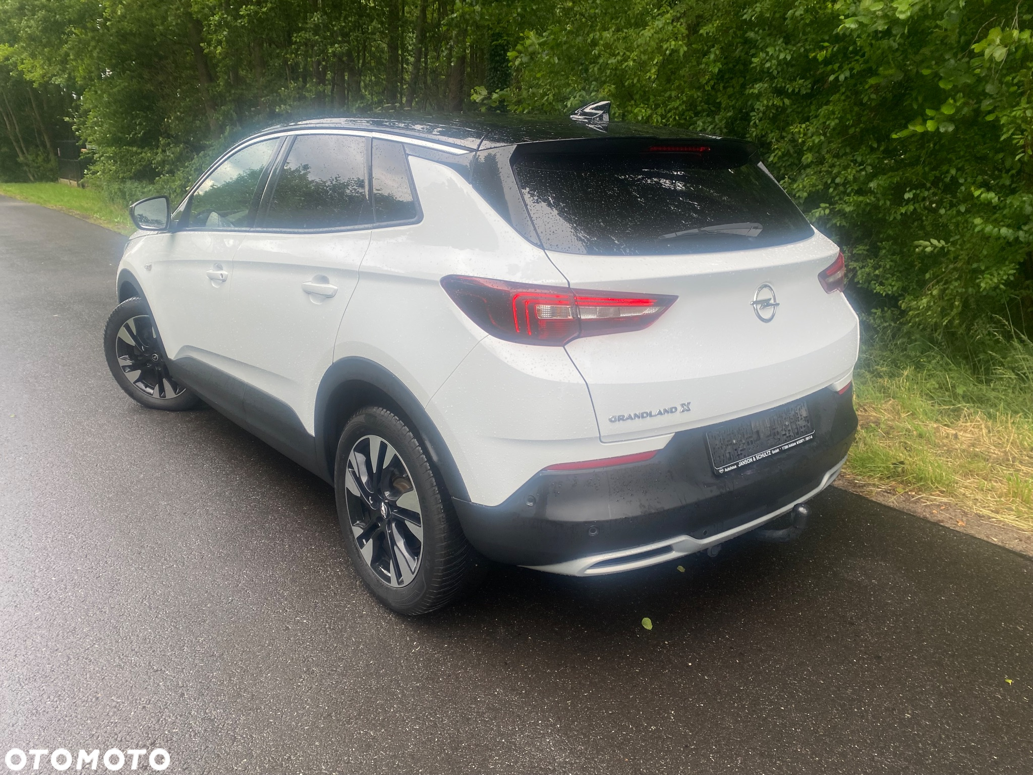 Opel Grandland X 2.0 D Start/Stop Automatik Design Line - 15