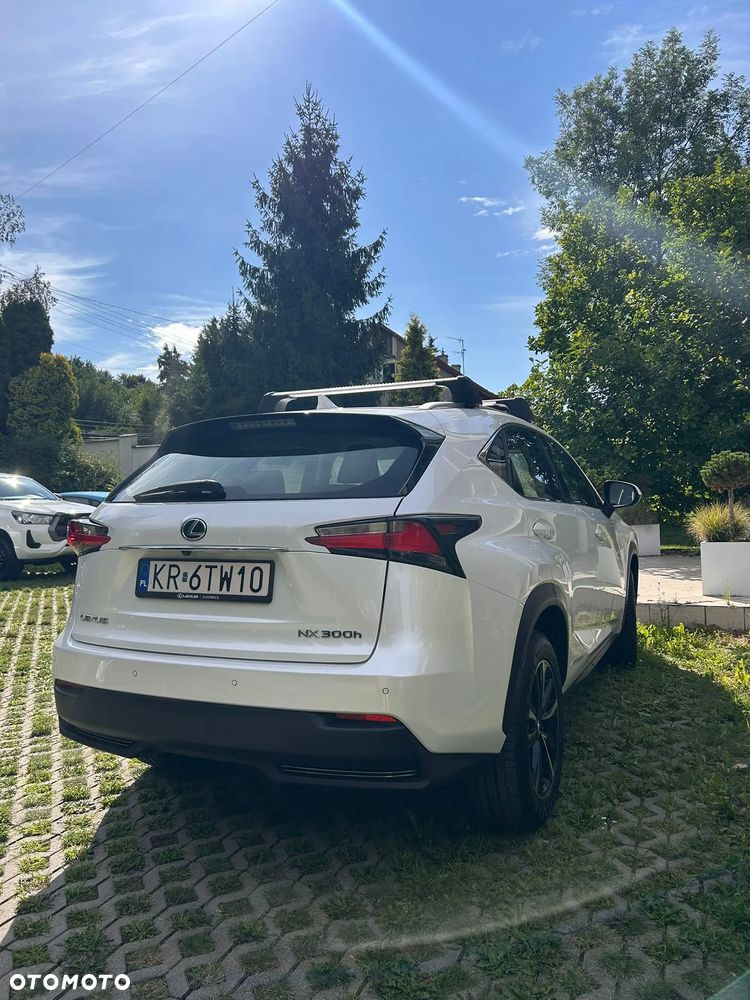 Lexus NX - 7