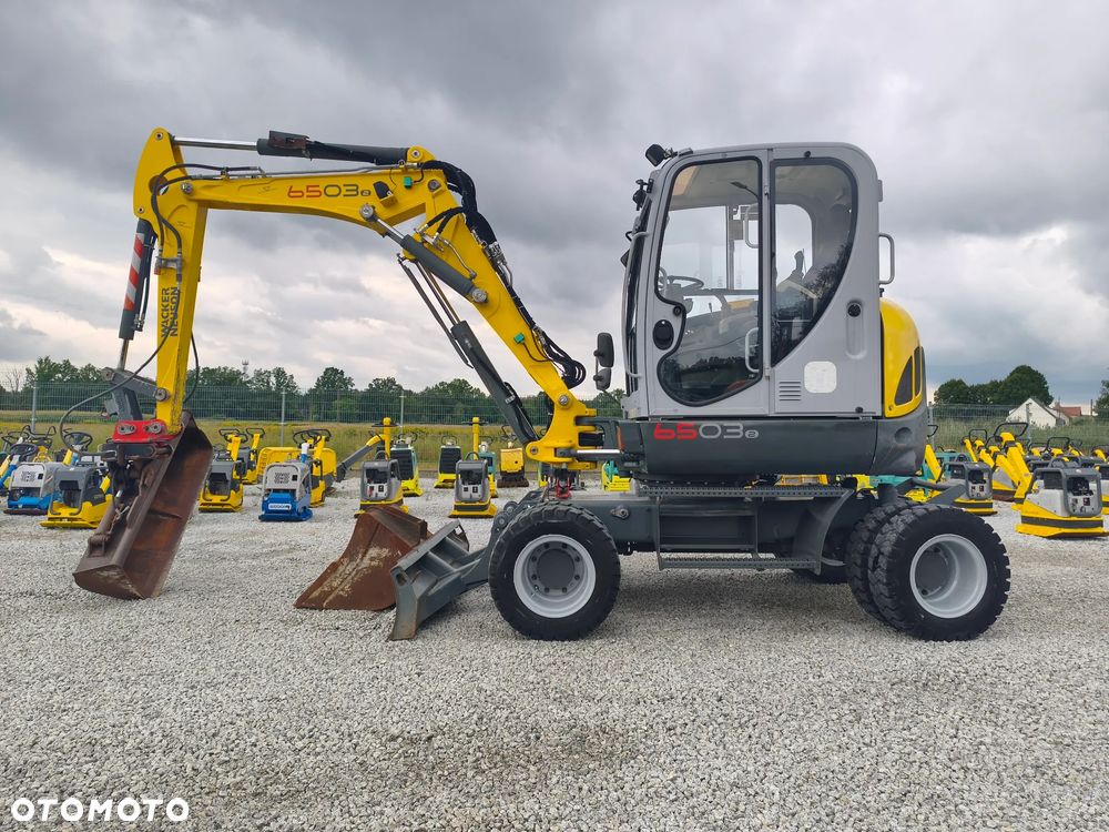 Wacker Neuson 6503 - 5