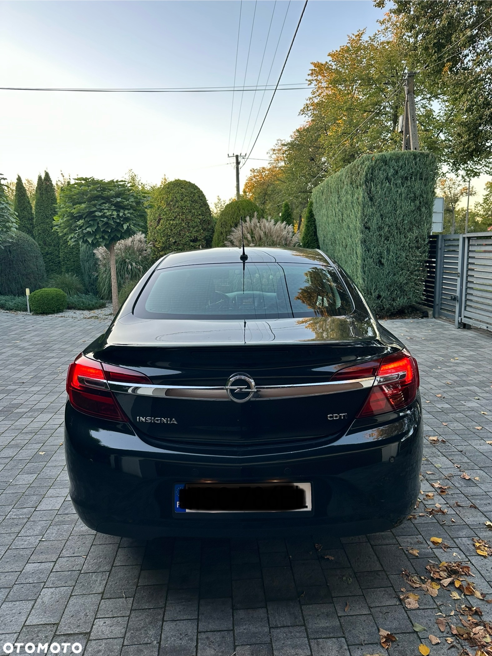 Opel Insignia 2.0 CDTI - 6