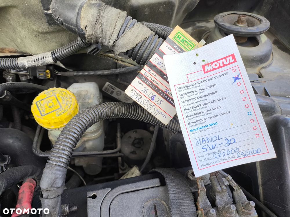 Fiat Panda 1.3 Multijet Dynamic - 14