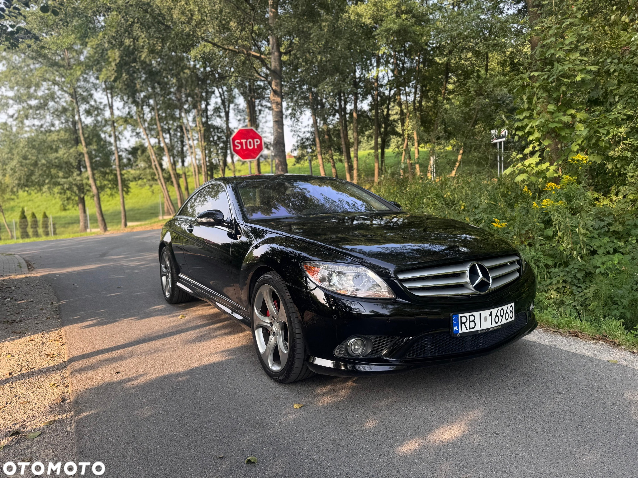 Mercedes-Benz CL 500 4-Matic - 6