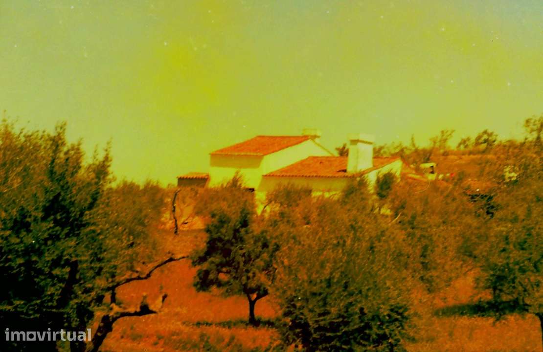 Quintinha à venda - Grande imagem: 5/8