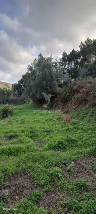 Terreno Lousa - Grande imagem: 4/7
