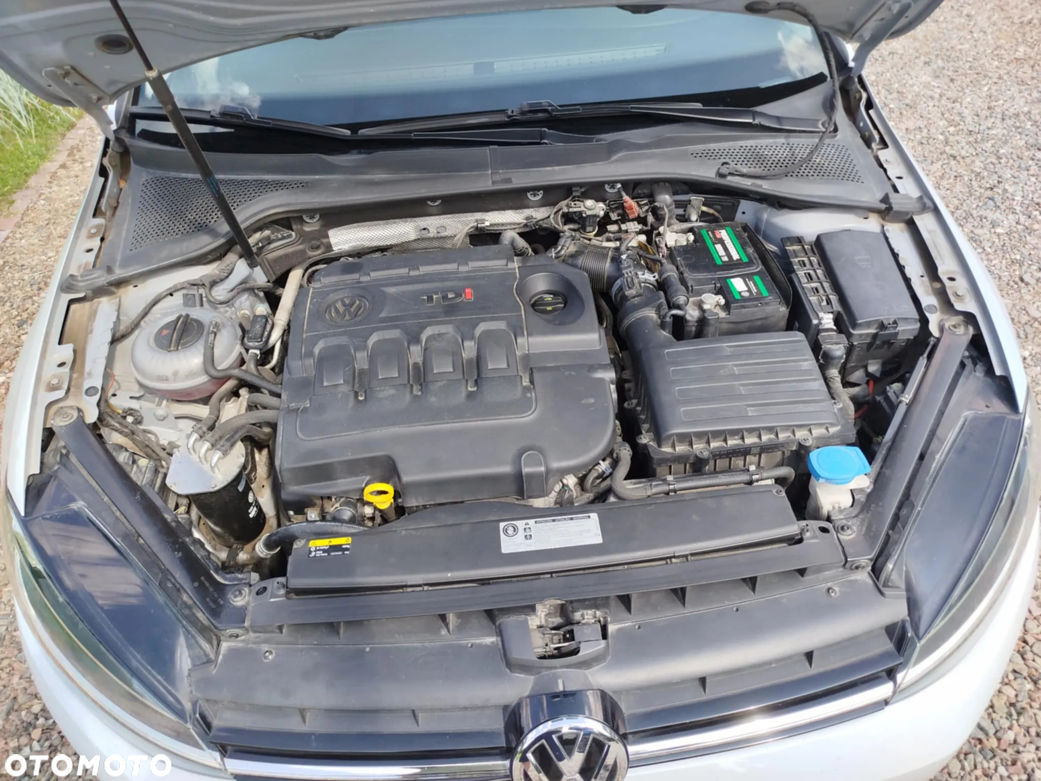 Volkswagen Golf VII 1.6 TDI BMT Trendline - 5
