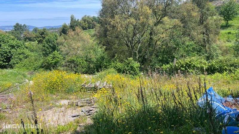 TERRENO 3.000 m² | Sao Mamede de  NEGRELOS – Santo Tirso - Grande imagem: 5/6