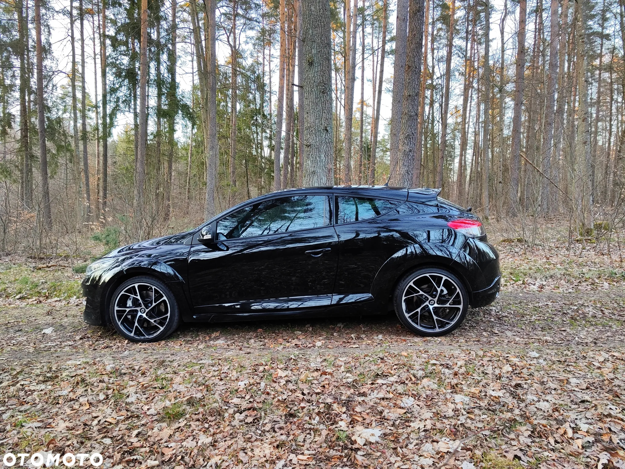 Renault Megane R.S EU6 - 5