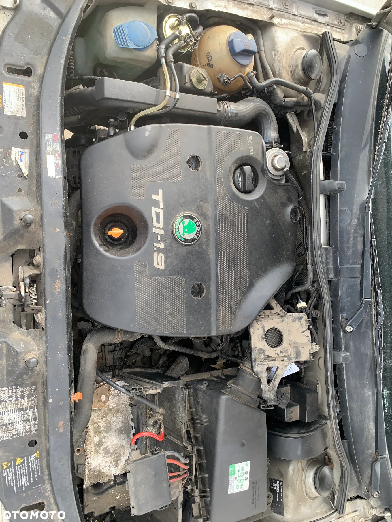SKODA OCTAVIA 2000 1.9 TDI ALH *SAMOCHÓD NA CZĘŚCI* 525 MASKA LAMPA DRZWI LUSTERKO ZDERZAK GRILL BŁOTNIK KLAPA BELKA PRAWE LEWE PRZÓD TYŁ - 8