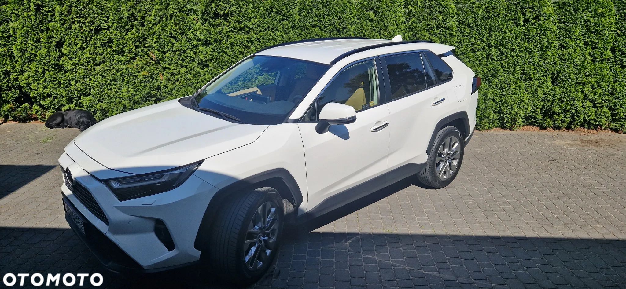 Toyota RAV4 2.0 Executive 4x4 MS - 1