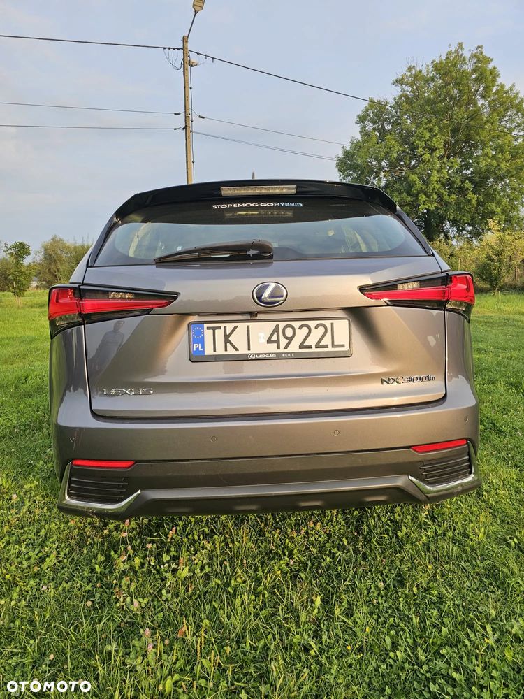 Lexus NX - 6