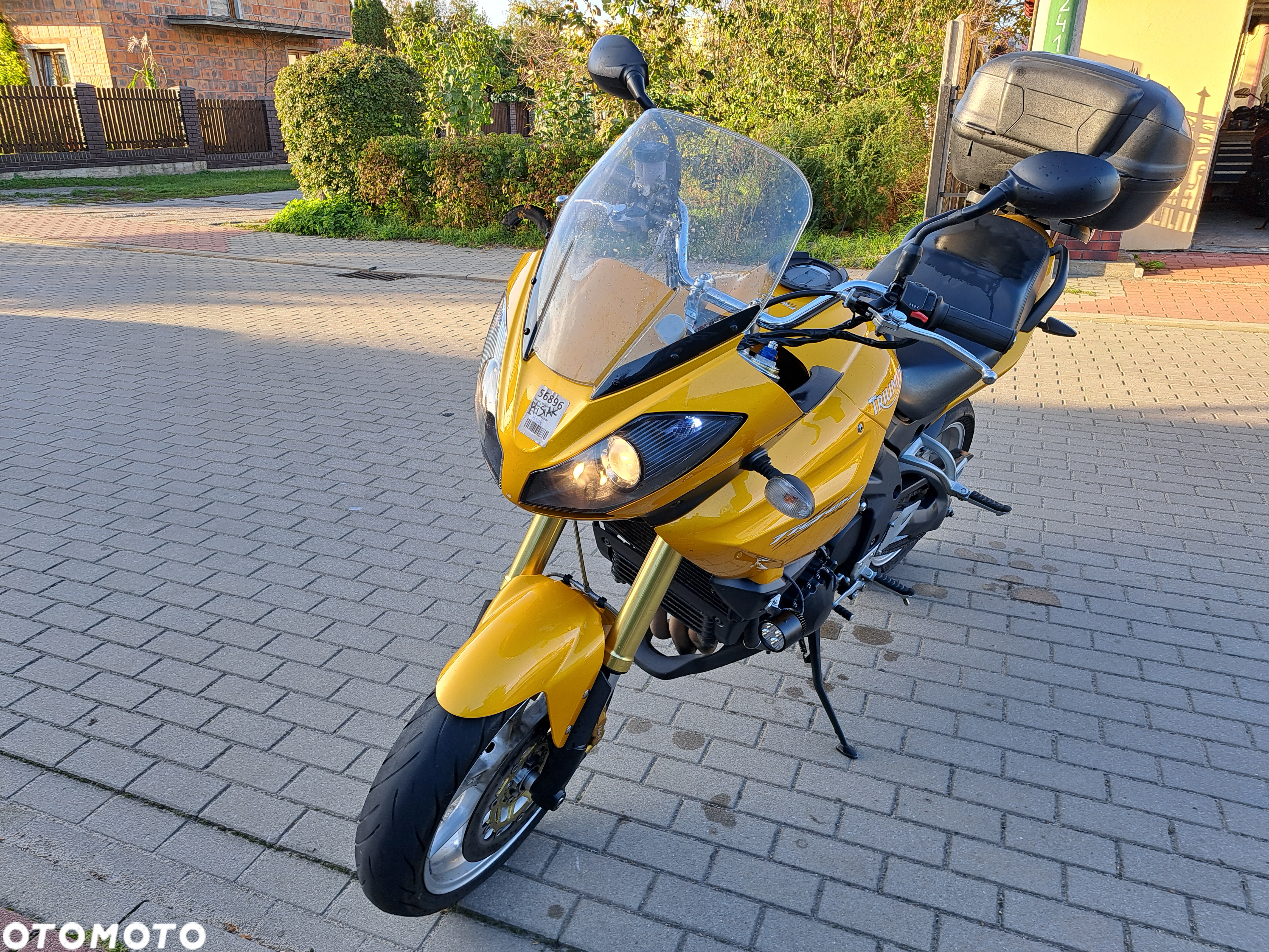 Triumph Tiger - 10