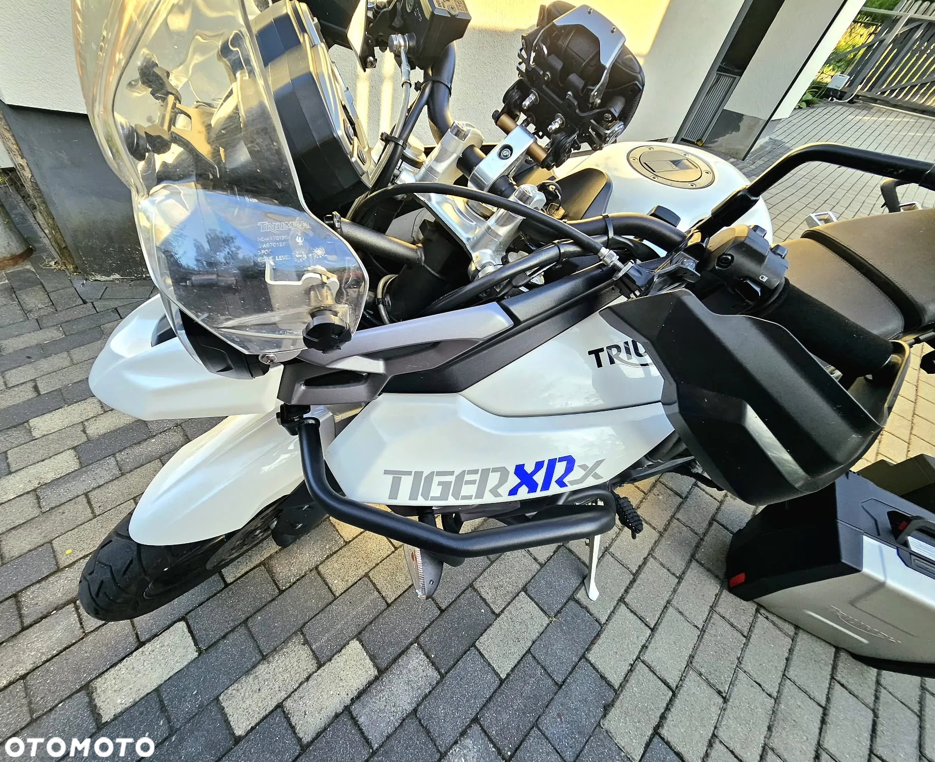Triumph Tiger - 4
