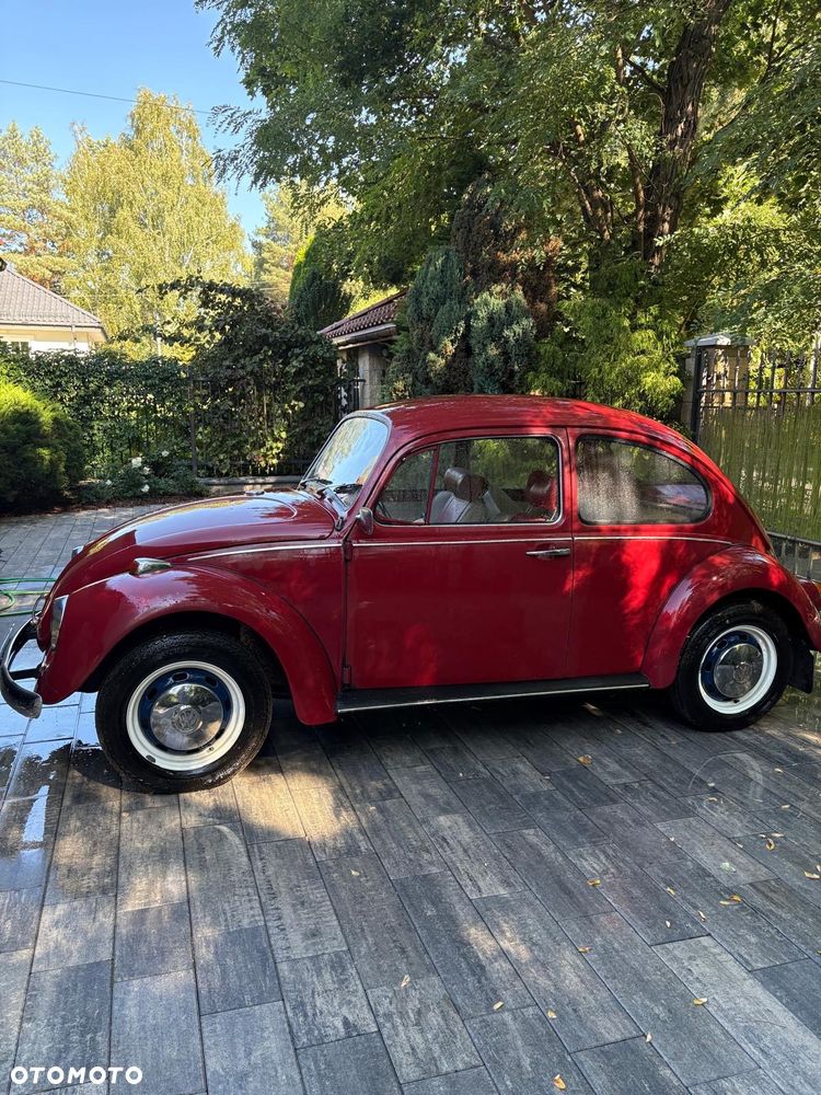 Volkswagen Garbus - 2