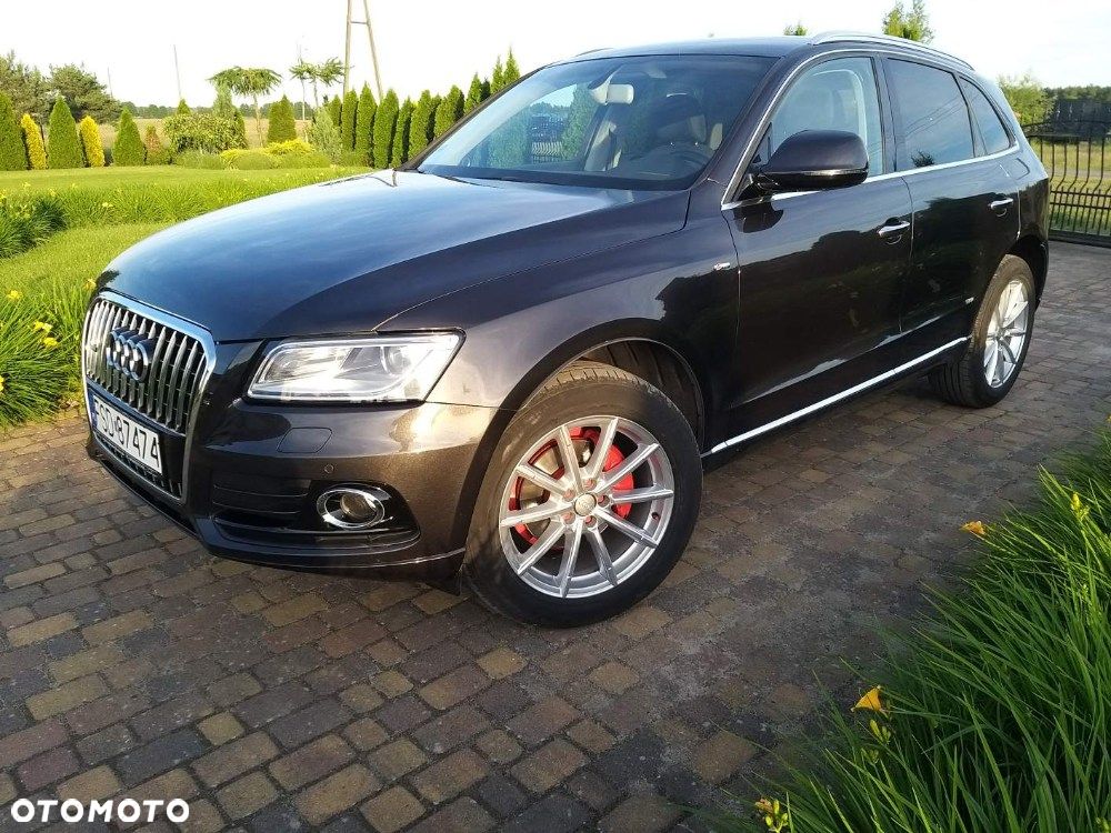 Audi Q5 - 5