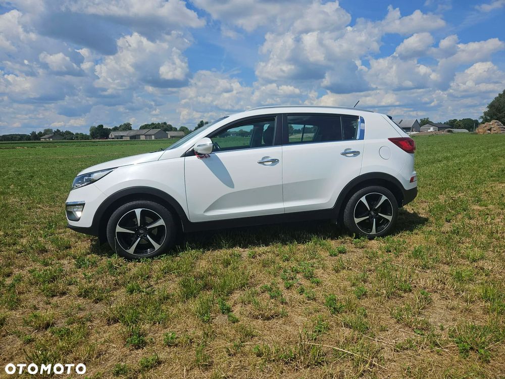 Kia Sportage - 1