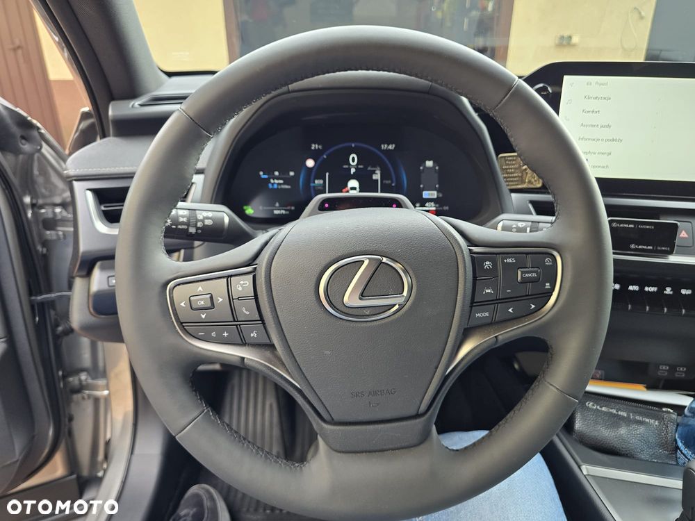 Lexus UX 300h F Sport - 12