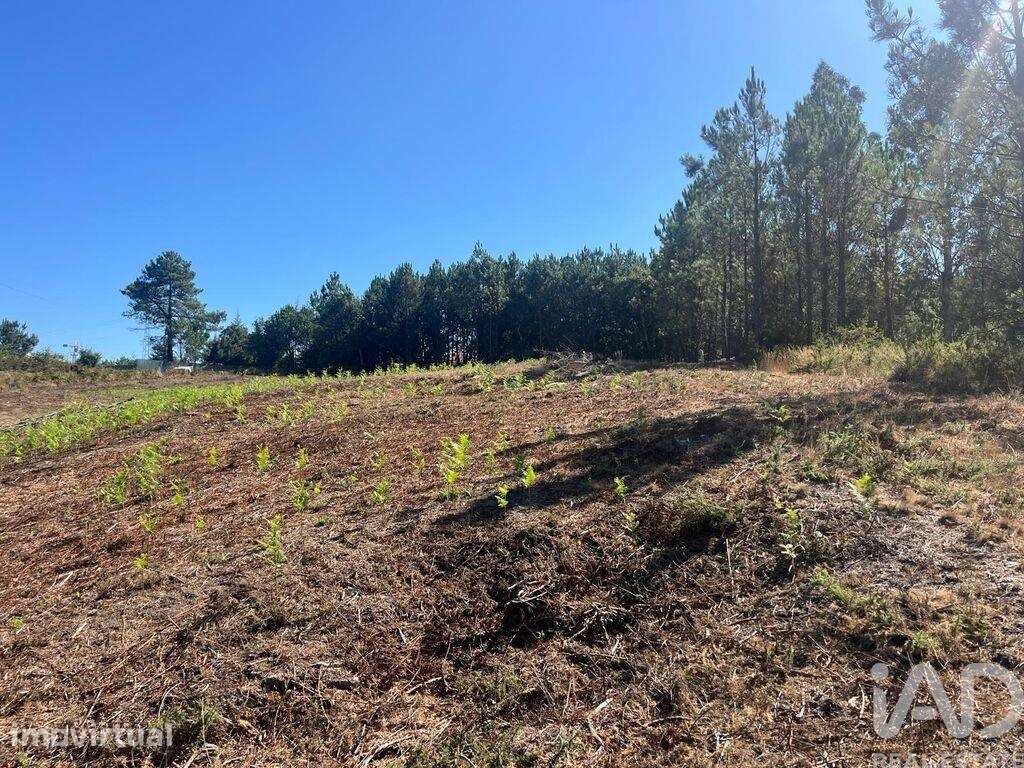 Terreno industrial em Antas - Grande imagem: 5/11